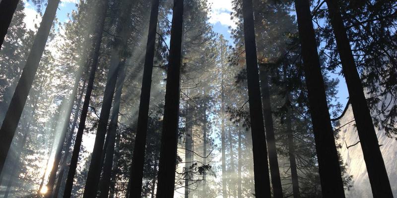 027精英梦与城市新生：探访武汉杨泗港与汉阳造，解码老旧厂房改造的艺术区魅力