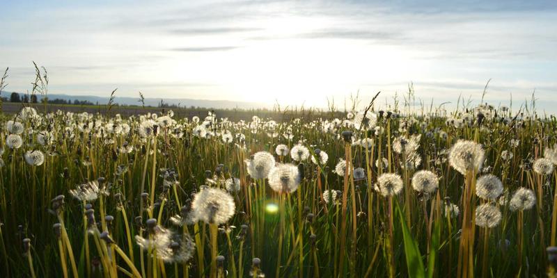 027精英梦的武汉梅雨季生存指南：防潮技巧与室内休闲娱乐全攻略