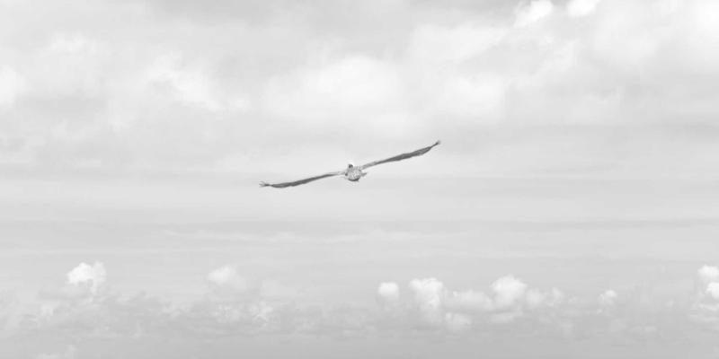 027精英梦的都市律动：武汉夜跑路线全攻略，解锁安全、风景与氛围俱佳的城市运动地图