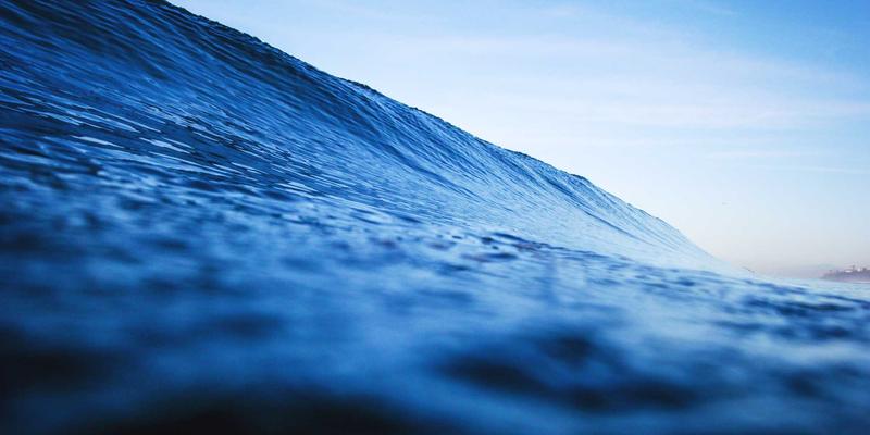 武汉休闲新体验：逛二手市场淘宝，寻古玩旧书与美食的完美周末