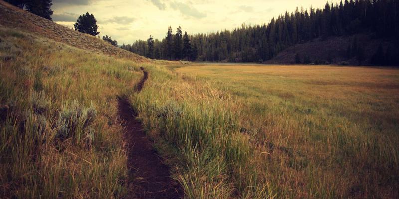 武汉地铁沿线租房性价比分析：通勤便利与生活成本的027精英平衡术