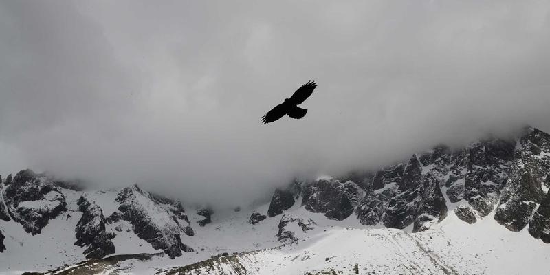 武汉地铁沿线租房攻略：027精英梦的性价比通勤居住区指南