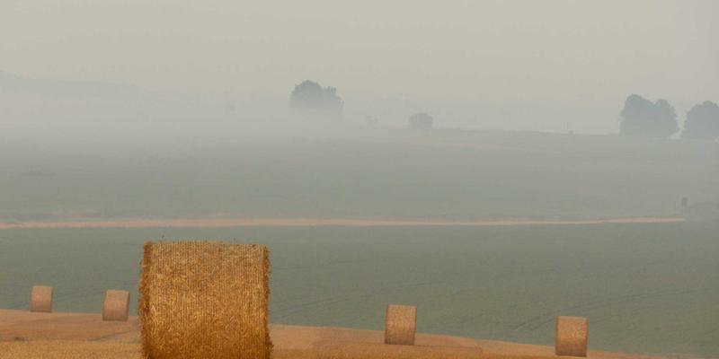武汉樱花季避开人潮指南：解锁冷门赏花地，尽享悠闲购物与休闲时光