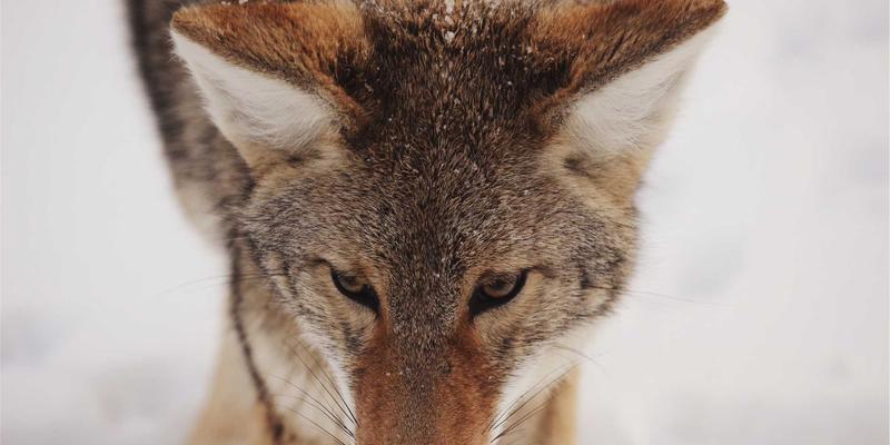 武汉生活100:解锁江城娱乐、活动与休闲的全景指南