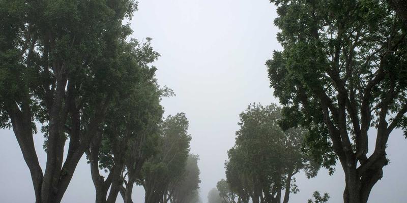 武汉生活68小时：美食、活动与购物的江城漫游指南