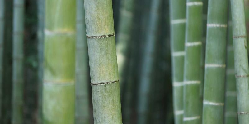 武汉生活78:解锁本地精彩,发现江城娱乐新维度