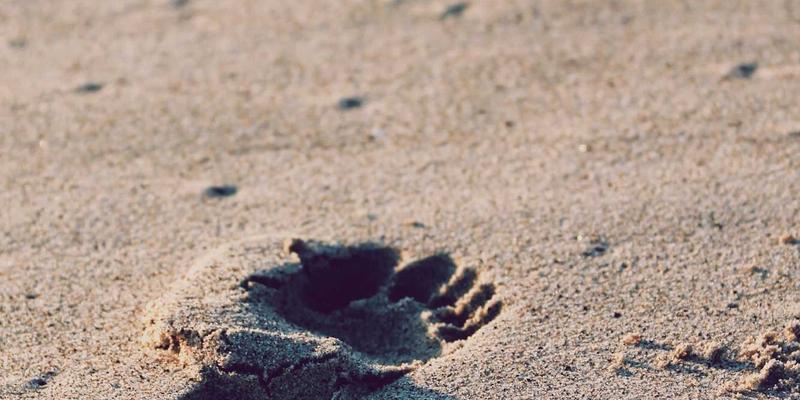 武汉生活81：解锁江城本地生活的深度体验指南