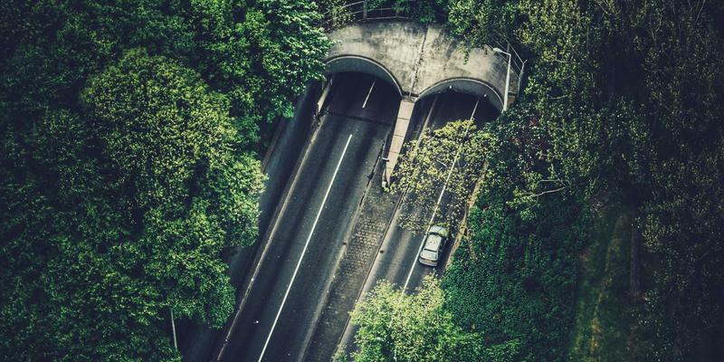 武汉生活83：在027的烟火与星辰间，追寻精英梦的平衡之道