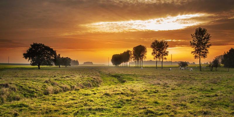 武汉生活95：解锁江城娱乐、购物与本地生活的潮流密码