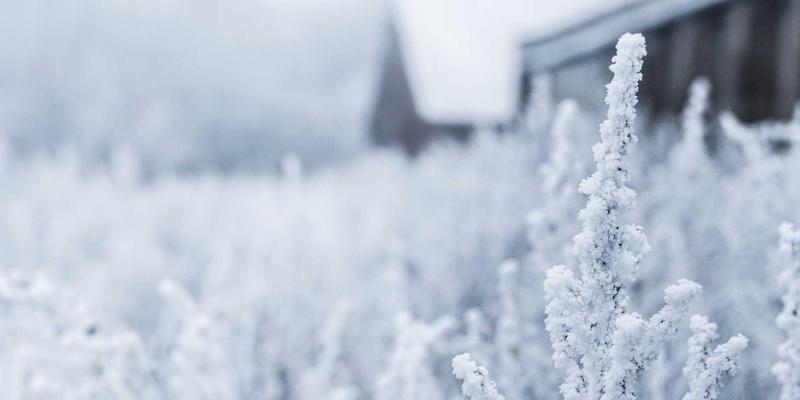 武汉生活99:烟火江城里的美食地图与闲适哲学