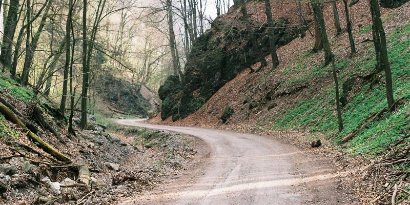 武汉生活评测:在027精英梦与市井烟火中,探寻本地生活的真味