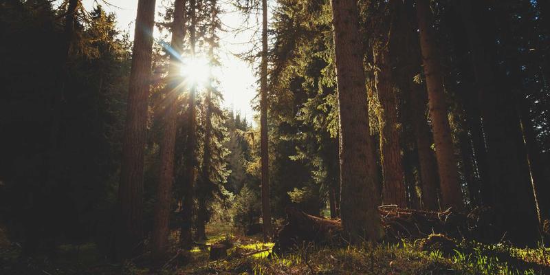 武汉社区咖啡馆图鉴：藏在老街区里的独立烘焙与手冲体验
