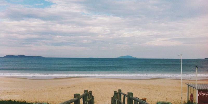 武汉高校樱花季避开人潮攻略：本地人私藏的赏樱路线，解锁购物休闲娱乐新体验