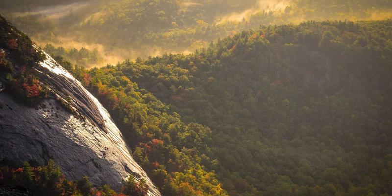 江城生活图鉴：解锁武汉休闲、活动与美食的十四种诗意